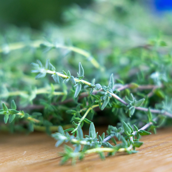 Herbs